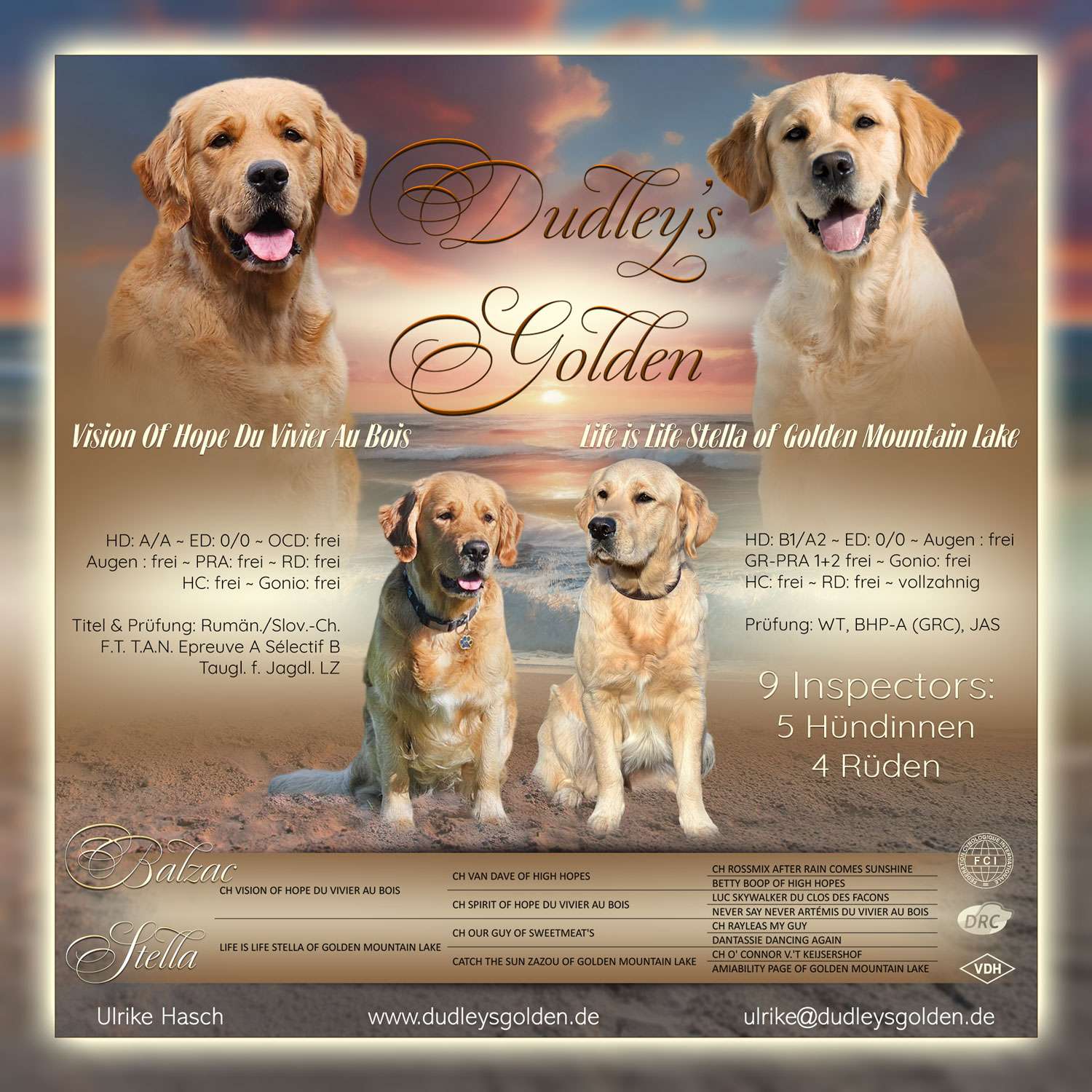 I-Wurf 17.05.2025, 5 Hündinnen und 4 Rüden I-Wurf 17.05.2025, 5 Hündinnen und 4 Rüden