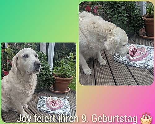 Wir feiern am 25.05.2025 den 9. Geburtstag der diamonds