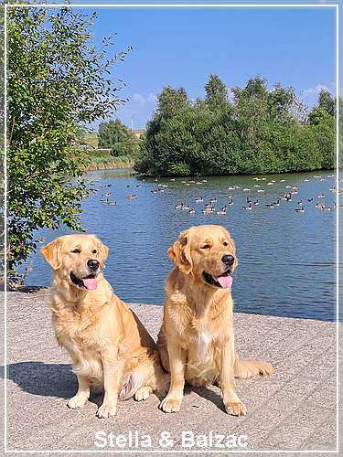 Stella & Balzac