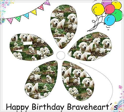 11. geburtstag der Bravehearts