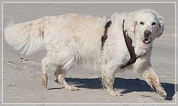 Penny Lane of Redpine