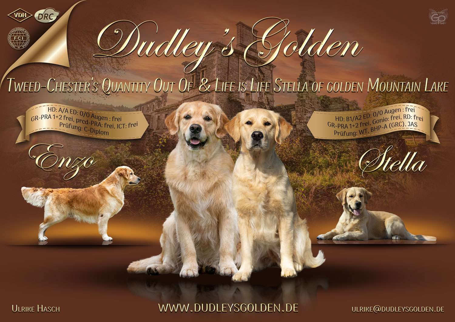 H-Wurf_DudleysGolden H-Wurf Dudleys Golden