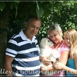 Dudley's Golden Agent Cody