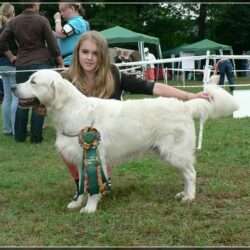 Dudley's Golden Agent Cody