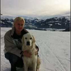 Dudley's Golden Agent Cody