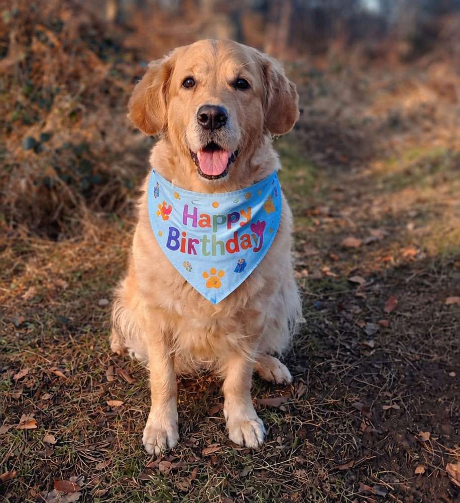 Angel 6. Geburtstag