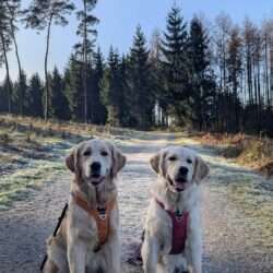 Flinte & Birdy mit 7 Monaten